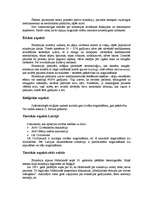 Referāts 'Ētiskie aspekti medicīnā: eitanāzija', 3.