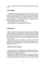 Referāts 'Tūrisma resursu izpēte Ludzas rajona Nirzas pagastā', 17.