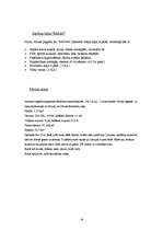 Referāts 'Tūrisma resursu izpēte Ludzas rajona Nirzas pagastā', 27.