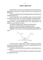 Referāts 'Tirgus līdzsvaru raksturojošie lielumi', 4.