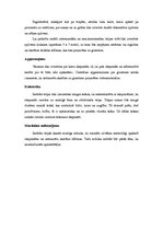 Paraugs 'Izstāde', 2.