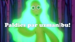 Prezentācija 'Vides piesārņojuma veidi un to ietekme uz cilvēku', 15.