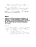 Konspekts 'Sirds', 8.