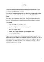 Referāts 'Cilvēka vārds un tā psiholoģiskie aspekti', 2.