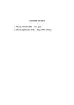 Eseja 'Muzeji Latvijā', 6.