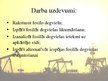 Prezentācija 'Fosilās degvielas ietekme uz vidi', 5.