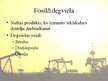 Prezentācija 'Fosilās degvielas ietekme uz vidi', 7.