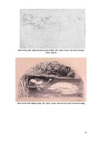 Referāts 'Džona Evereta Milē "Ofēlija"', 11.