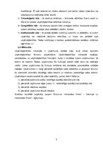 Referāts 'Latvijas uzņēmējdarbības vides gatavība iestājai Eiropas Savienībā', 7.