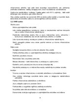 Referāts 'Latvijas uzņēmējdarbības vides gatavība iestājai Eiropas Savienībā', 16.