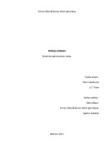 Referāts 'Hokeja vēsture', 1.