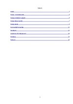 Referāts 'Hokeja vēsture', 2.