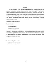 Referāts 'Hokeja vēsture', 3.