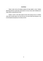 Referāts 'Hokeja vēsture', 15.