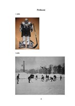 Referāts 'Hokeja vēsture', 16.
