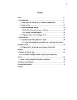 Diplomdarbs 'Riska vadības stratēģijas izstrāde pakalpojuma uzņēmumam', 5.