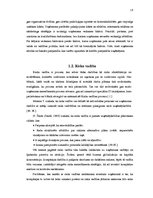 Diplomdarbs 'Riska vadības stratēģijas izstrāde pakalpojuma uzņēmumam', 18.