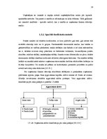 Diplomdarbs 'Riska vadības stratēģijas izstrāde pakalpojuma uzņēmumam', 28.