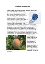 Referāts 'Izraēla', 4.