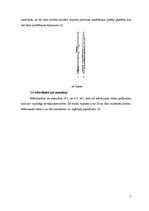 Referāts 'Titrimetrija', 7.