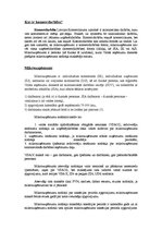 Konspekts 'Komercdarbības formas Latvijā', 2.