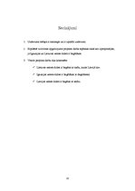 Referāts 'Derīgo izrakteņu salīdzinājums Latvijas, Lietuvas un Igaunijas zemes dzīlēs', 20.