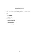 Referāts 'Derīgo izrakteņu salīdzinājums Latvijas, Lietuvas un Igaunijas zemes dzīlēs', 21.