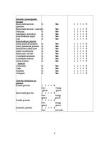 Referāts 'Gada treniņa plāns džudo', 7.