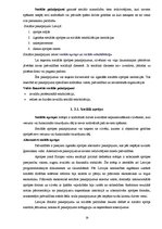 Diplomdarbs 'Vecu cilvēku aprūpes problēmas sociālajā nodaļā', 19.