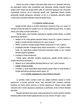 Diplomdarbs 'Vecu cilvēku aprūpes problēmas sociālajā nodaļā', 21.