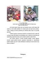 Referāts 'Bada problēmas mūsdienu Etiopijā un Eritrejā', 14.