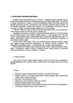 Biznesa plāns 'Izjāžu klubs "Tīrainīte"', 3.