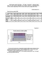 Biznesa plāns 'Izjāžu klubs "Tīrainīte"', 14.