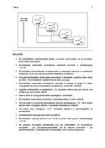 Referāts 'Karbonskābes un karbonskābju atvasinājumi', 17.