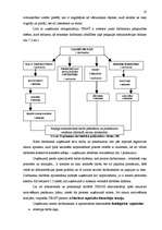 Referāts 'Motivācija komercuzņēmumā', 22.