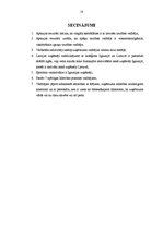 Referāts 'Kultūras izpratne vadībā', 10.