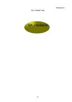 Biznesa plāns 'SIA "Ozolkalns"', 41.