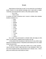 Referāts 'E.Kasīrera kultūrfilosofijas raksturojums - valoda', 3.