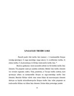 Referāts 'Romāņu - ģermāņu saimes raksturojums', 10.