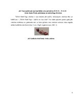 Prakses atskaite 'SIA "TLG Hotell Latvija"', 9.