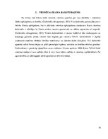 Prakses atskaite 'SIA "TLG Hotell Latvija"', 10.