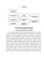 Prakses atskaite 'SIA "TLG Hotell Latvija"', 11.