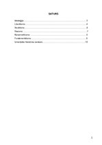 Referāts 'Politika', 2.
