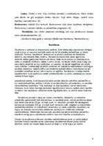 Referāts 'Politika', 6.