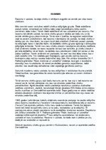 Referāts 'Politika', 7.