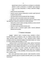 Referāts 'Komercbankas iekšējās vides faktoru analīze', 43.