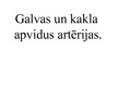 Prezentācija 'Galvas un kakla artērijas', 1.