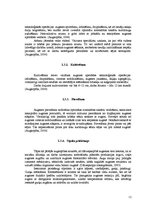 Referāts 'Augu aizsardzības līdzekļu izvēle, audzējot sīpolus no sēklas', 13.