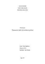 Eseja 'Novērojums par taksometru vadītājiem Rīgā', 1.