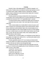 Referāts 'Individuālā un kolektīvā aizsardzība', 14.